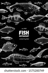 Fish sketch collection. Hand drawn vector illustration. Seafood frame vector illustration. Food menu illustration. Hand drawn perch, mackerel, sturgeon, catfish. Engraved style. Sea and river fish