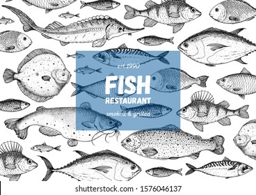 Fish sketch collection. Hand drawn vector illustration great for package or menu design. Seafood fish pattern. Leaflet, brochure, booklet design template. Black and white engraved style.