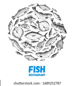 Fish sketch collection. Hand drawn vector illustration. School of fish vector illustration. Food menu illustration. Hand drawn fish set. Engraved style. Sea and river fish logo