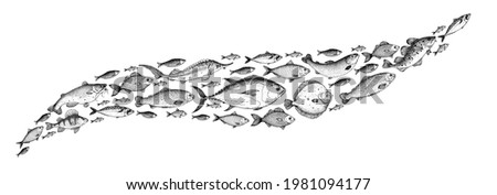 Fish sketch collection. Hand drawn vector illustration. School of fish vector illustration. Food menu illustration. Hand drawn fish set. Engraved style. Sea and river fish 商業照片 © 