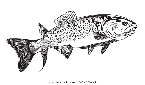 Fish sketch, hand drawn in doodle style Vector illustration