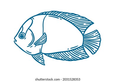 Fish sketch hand drawn vector illustration in blue isolated over white. Restaurant sea food menu graphic element engraved style.