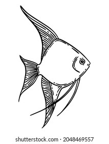 Esbozo de peces ilustración vectorial dibujada a mano en negro aislado sobre blanco. Menú de mariscos de restaurante con un estilo gráfico grabado.