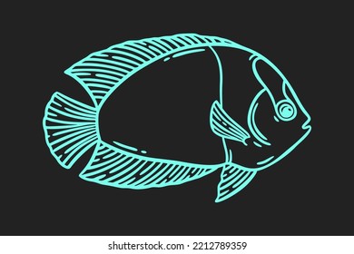 Fish sketch, hand drawn vector illustration. Restaurant sea food menu graphic engraved style. Light blue isolated over black.
