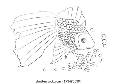 fish. a sketch on a white background. hand-drawn. vector illustration.wallpaper, textiles, wrapping paper, logo, print, poster for you 