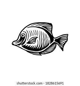 Fish sketch style. Sea animal vector vintage illustration