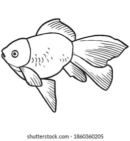 fish sketch vector illustration,isolated on white background, top view