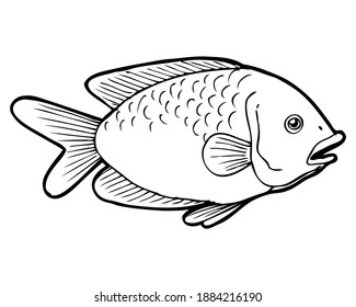 Fish Sketch Vector Illustrationisolated On White Stock Vector (Royalty ...