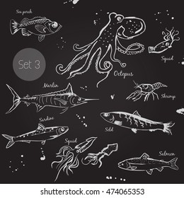 Fish. Sketch. Vector isolated illustration. Set. Isolated