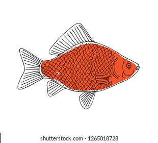 Fish, sketch for your design