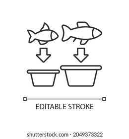 Fish sorting linear icon. Grading and separating seafood products. Sorting table and machine. Thin line customizable illustration. Contour symbol. Vector isolated outline drawing. Editable stroke
