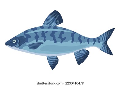 Fish sorts or types. Freshwater fish. Hand-drawn color illustration of inland fish. Commercial fish specie