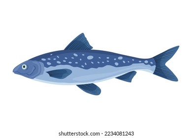 Fish sorts or types. Freshwater fish. Hand-drawn color illustration of inland fish. Commercial fish specie