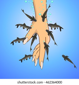 Fish spa (Garra rufa) vector illustration