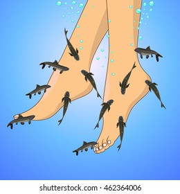 Fish spa (Garra rufa) vector illustration