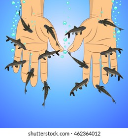 Fish spa (Garra rufa) vector illustration