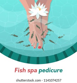 Fish spa pedicure (Garra rufa)