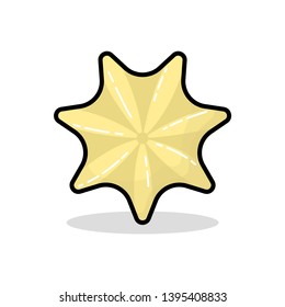Fish Starfish Star Vector Icon Beach Sea
