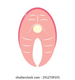 fish steak fillet icon over white background, colorful design, vector illustration