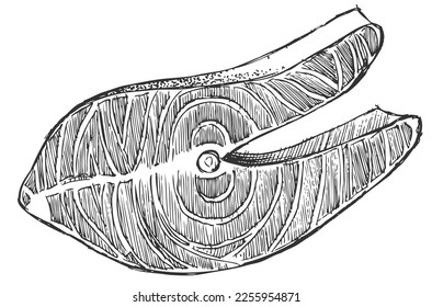 Fish steak. Pencil drawing for the menu. Coloring. Sketch