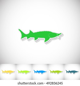 Fish sterlet. Flat sticker with shadow on white background. Vector illustration