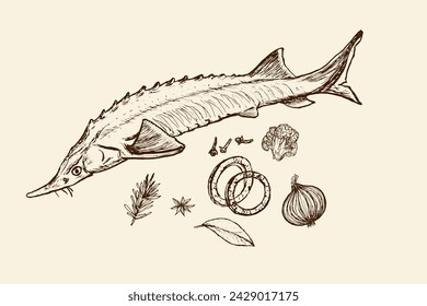 Fish sterlet in spices isolated on white background. Drawing of freshwater fish sturgeon. Dish for fish restaurant, menu element design sketch.