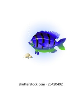 Fish, stones, bubbles, sea grass, isolated on white, vector