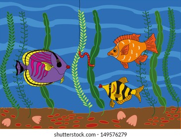 Fish swim in the pond.