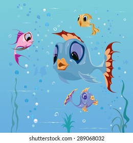 fish swim in the water