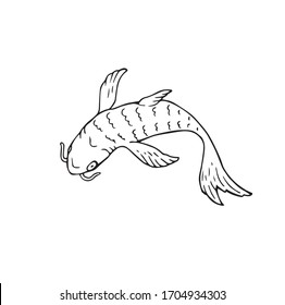 Fish swim in the water, hand drawn simple illustration. Catfish in the lake, logo detail. Water animal with fins, freehand graphic decoration. Single creature in the ocean. Seafood simple sign.
