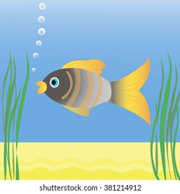 Fish swimming in blue water