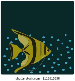 Fish is swimming in darkness.