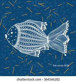 fish swimming in the ocean