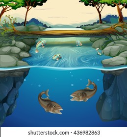 Fish swimming in the river illustration