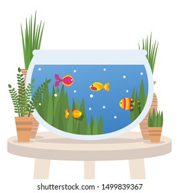 Fish swimming in a tabletop aquarium, flat style vector illustration. Interior design, aquatic pets for home or office and plants in flower pots. Cute small cartoon fish