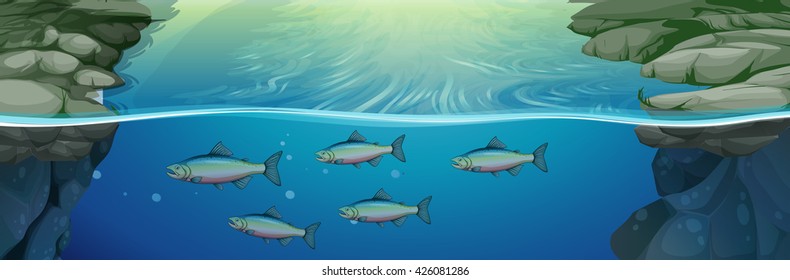 Fish swimming under the river illustration