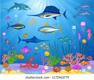 Fish swimming under the sea
