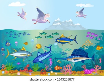 Fish swimming under the sea
