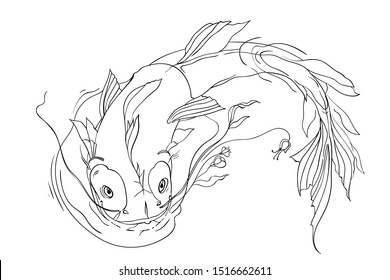 
Fish swimming in the water