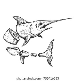 Fish sword cut into pieces in hand drawn vintage style. Sketch vector illustration isolated on white background.
