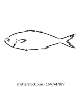 fish symbol, vector sketch illustration 