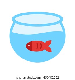 Fish in Tank