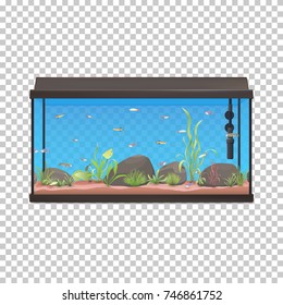 Fish Tank. Aquarium Illustration With Fishes Stones And Plants. Stock Vector.