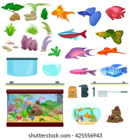 Fish tank, aquarium with water, animals, algae, corals, equipment