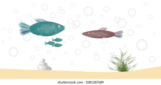 fish tank with bubbles