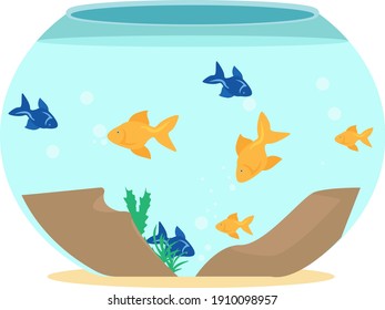 Fish tank, illustration, vector on a white background.