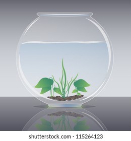 Fish tank with water and plants vector illustration