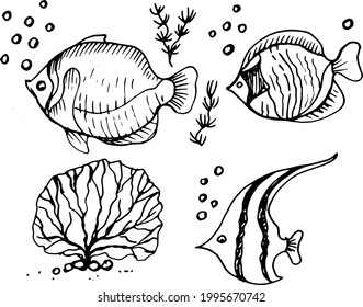 fish tropical aquarium graphic hand-drawn illustration vector. Print textile retro doodle sketch cute cartoon children's coloring wild life underwater ocean sea