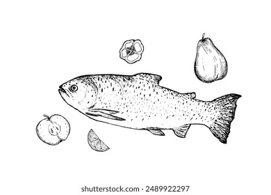 Fish trout illustration isolated on white background. Drawing of freshwater fish and fruits. Dish for fish restaurant, menu design.