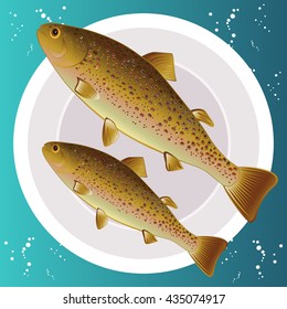 Fish trout on a plate. Menu for restaurants. Vector illustration
